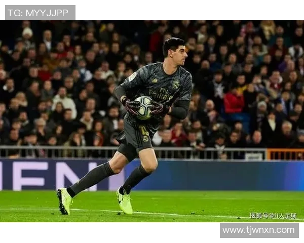 梦幻足球联盟中的皇马传奇赛季回顾与球员表现分析17-18赛季的辉煌与挑战